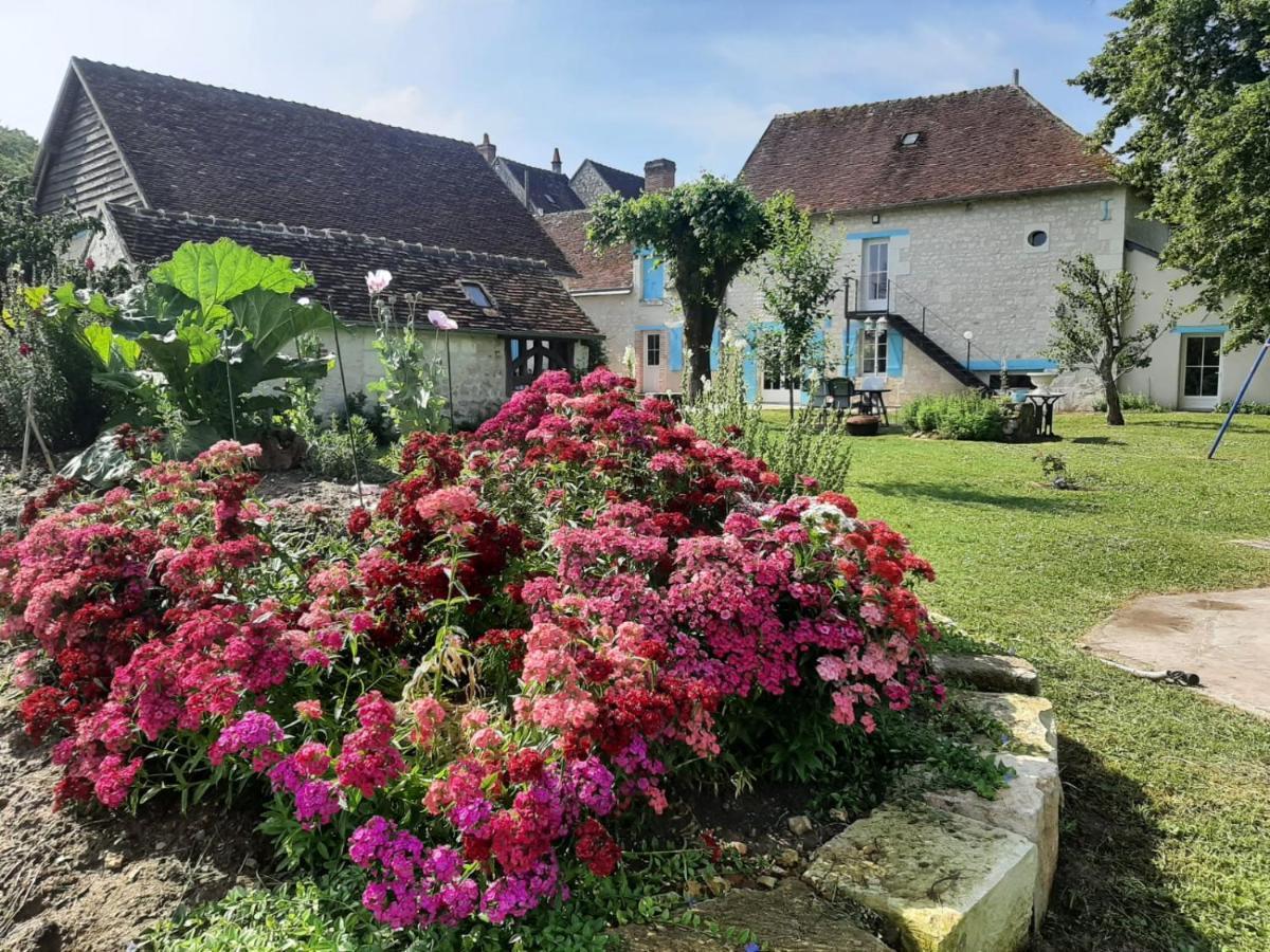Le Moulin Bleu Bed & Breakfast Seigy Екстериор снимка